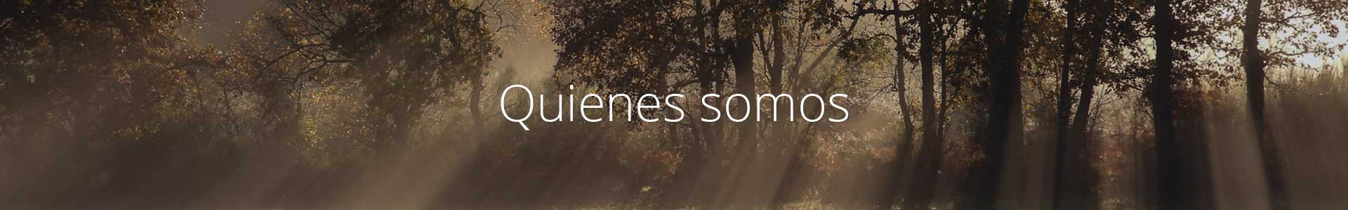 quienes somos